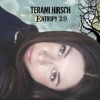 Terami Hirsch - Entropy 29 (2005)