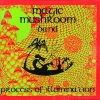 Magic Mushroom Band - Process Of Illumination (2004)