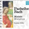 Cantus Cölln - DHM Splendeurs: Pachelbel/Bach: Motets (2004)