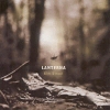 Lanterna - Elm Street (2001)