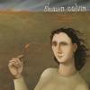 Shawn Colvin - A Few Small Repairs (1996)
