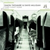 David Milligan - Third Plane Home (2007)