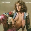 Peter Frampton - I'm In You (1977)