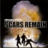 Milwaukee Wildmen - Scars Remain (2000)
