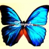 Zimpala - Zimpala (2003)