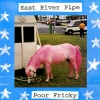 East River Pipe - Poor Fricky (1994)