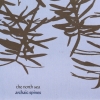 The North Sea - Archaic Spines (2007)