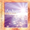 Anugama - Healing (Spiritual Environment) (2000)