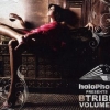 B-Tribe - Volume 6 (2008)