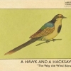 A Hawk And A Hacksaw - The Way The Wind Blows (2006)