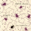 David Dunn - Angels And Insects (1992)