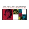 David Cassidy & The Partridge Family - Could It Be Forever - The Greatest Hits (2006)