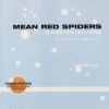 Mean Red Spiders - Places You Call Home (1998)