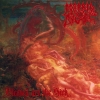 Morbid Angel - Blessed Are The Sick (1995)