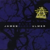 James Blood Ulmer - Blue Blood (2001)
