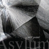 Amber Asylum - Still Point (2007)