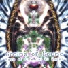 Grains of sound - Rays Of Life Vol. 2: Under (2008)