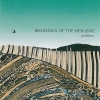 Birdsongs of the Mesozoic - Faultline (1989)