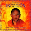 Sina Vodjani - Sacred Buddha - H.H. The 17th Gyalwa Karmapa (2000)