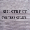 Big Street M.P. - The Tree Of Life (2008)