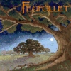 Feufollet - Tout Un Beau Soir (2004)