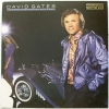 David Gates - Falling in love Again (1980)