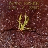 Kenny Rankin - Like A Seed (1972)