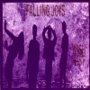 Falling Joys - Wish List (1990)
