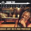 Mad Professor - From The Roots (2004)