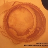 Kleinschmager Audio - Audiology (2009)