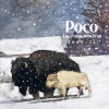 Poco - The Forgotten Trail (1969-1974) (1990)