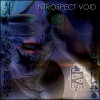 Introspect Void - Reality is Defective (2007)