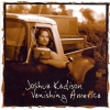 Joshua Kadison - Vanishing America (2001)