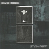 David Bridie - Act Of Free Choice (2000)