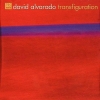 David Alvarado - Transfiguration (2004)