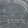 Big City Orchestra - New Beat For Baby (2002)