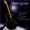 James Blood Ulmer - Blues & Grass (2004)