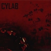 Cylab - Disseminate (2007)