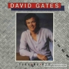 David Gates - Take Me Now (1981)