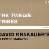 David Krakauer's Klezmer Madness - The Twelve Tribes (2002)