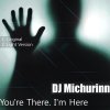 DJ Michurinn - You're There. I'm Here (2012)