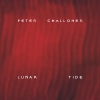 Peter Challoner - Lunar Tide (2008)