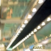 Karate - 595 (2007)