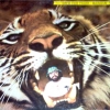 Marsius - ..... Save The Tiger (1977)