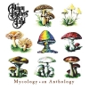 The Allman Brothers Band - MYCOLOGY AN ANTHOLOGY (1998)