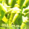 Multiplex - Pinghaus Frequencies (2002)