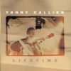 Terry Callier - Lifetime (1999)