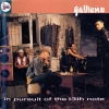 Galliano - In Pursuit Of The 13th Note (1991)