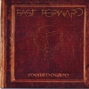Fast Forward - Mabinogion (2007)