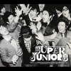 Super Junior - 3집 - SORRY, SORRY (2009)